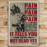 Dragon Ball Wall Art - Dragon Ball Poster - Dragon Ball Canvas - PAIN - It Tells You - You Are Not Dead Yet - Goku - DR018 - Vertical Poster - Vertical Canvas